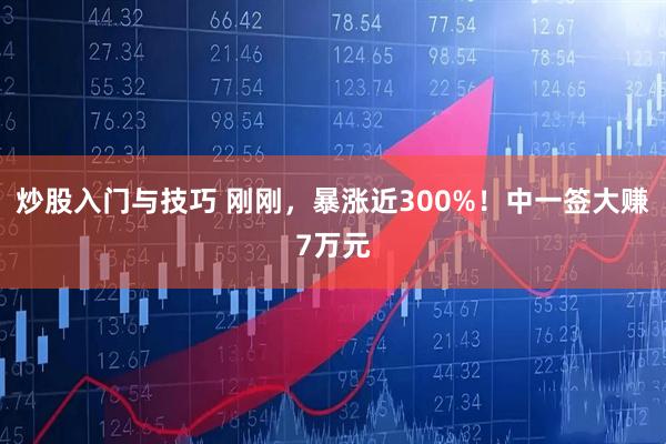 炒股入门与技巧 刚刚，暴涨近300%！中一签大赚7万元